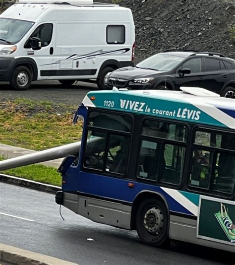 stl lévis|stl lévis annulation autobus.